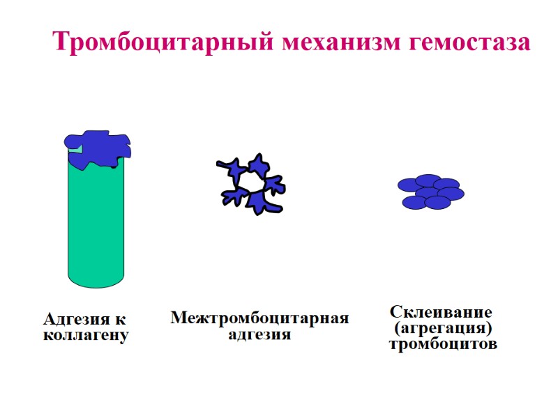 Тромбоцитарный механизм гемостаза Адгезия к коллагену Межтромбоцитарная адгезия Склеивание  (агрегация) тромбоцитов